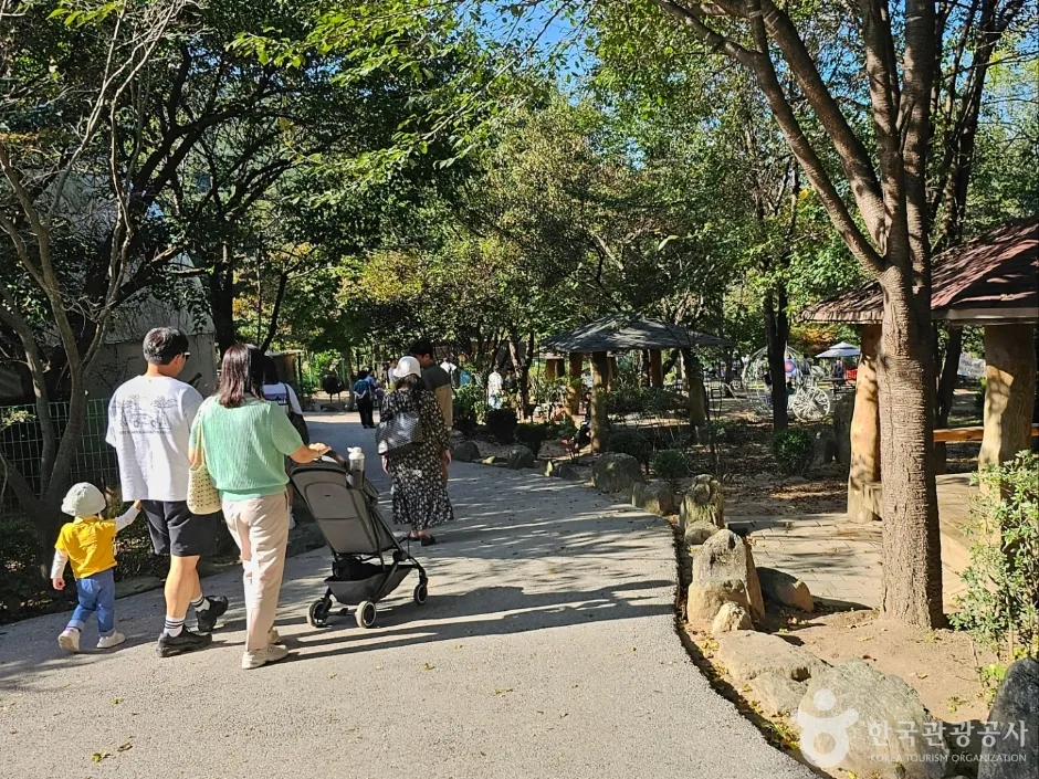 아침고요가족동물원_7