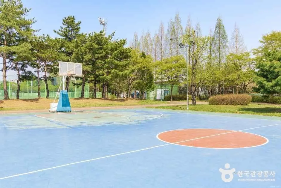 고양_대화동레포츠공원 (2).jpg