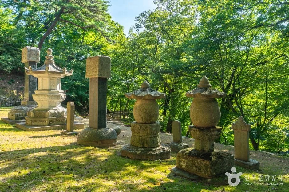 대구_회진당원의대사지비 (3)