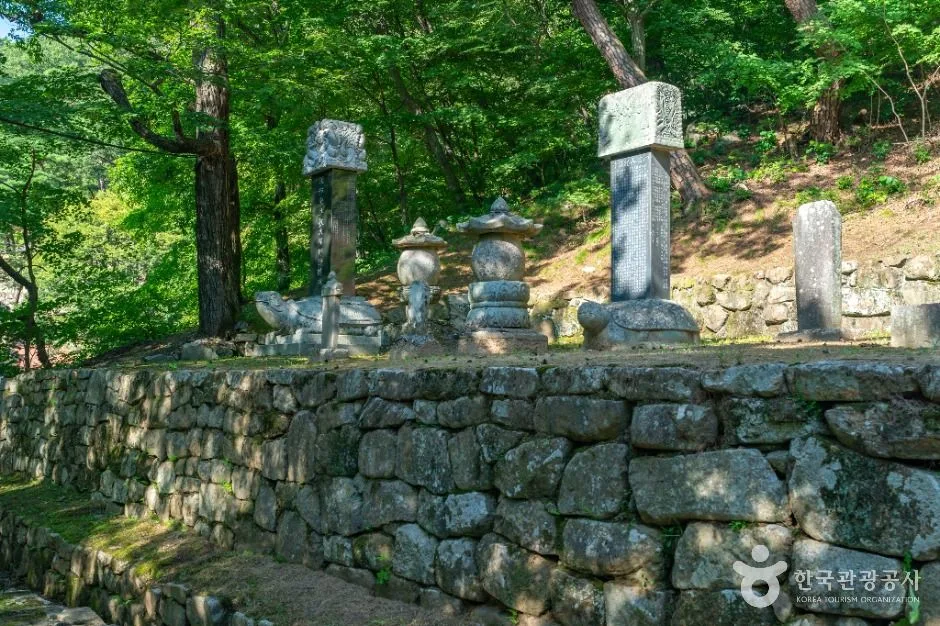 대구_회진당원의대사지비 (1)