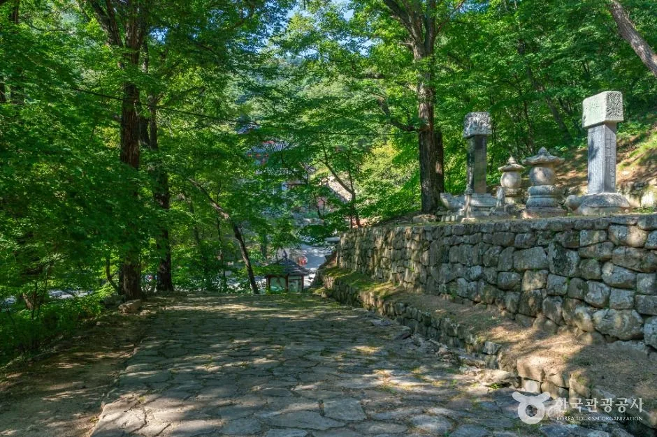 대구_회진당원의대사지비 (6)