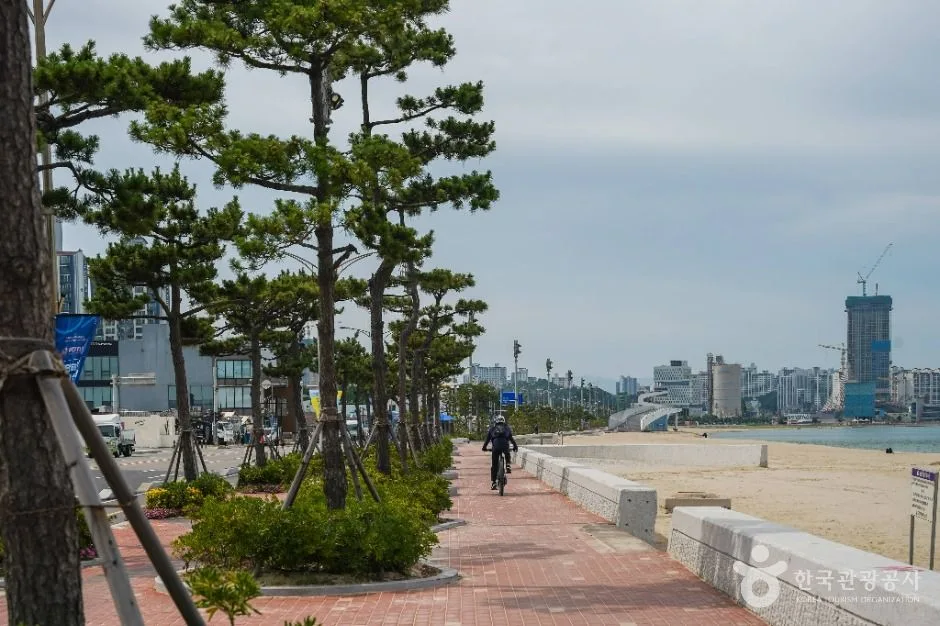 포항_송도해변(포항) (5)