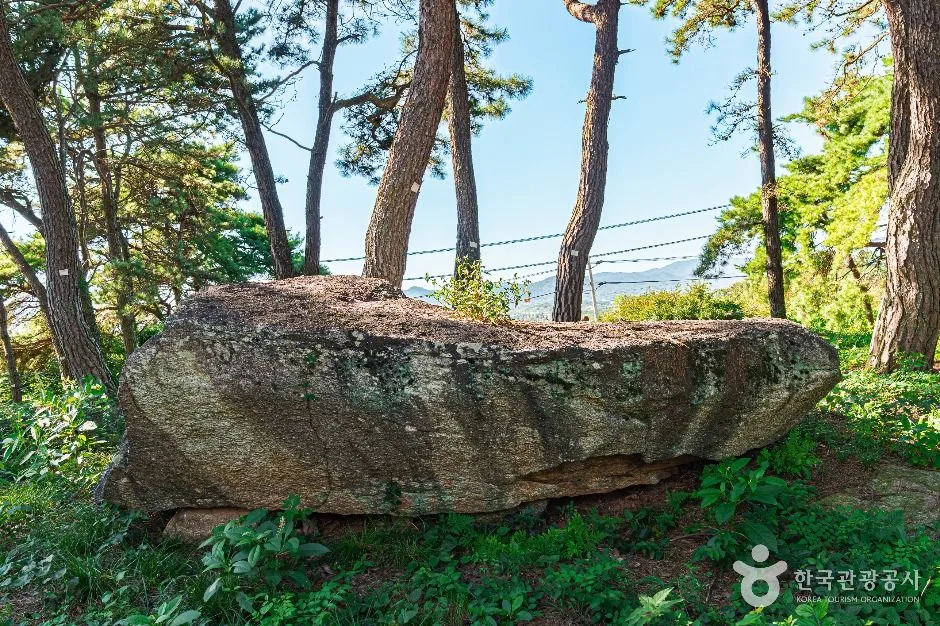 함평_함평 용월리 지석묘군 (2)