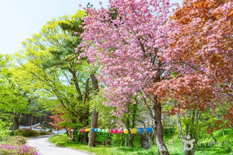 당진_영탑사(당진) (5)
