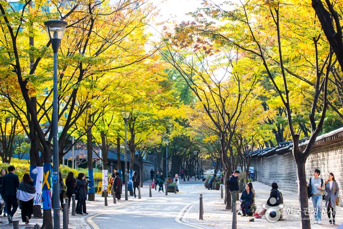 서울_중구_덕수궁 돌담길 (4).jpg
