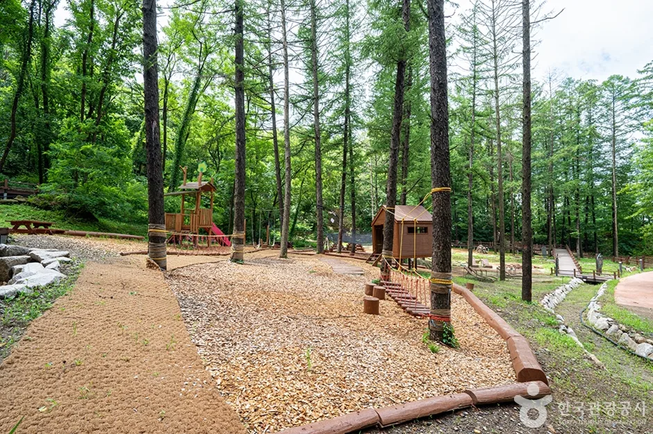 고대산자연휴양림 (4)