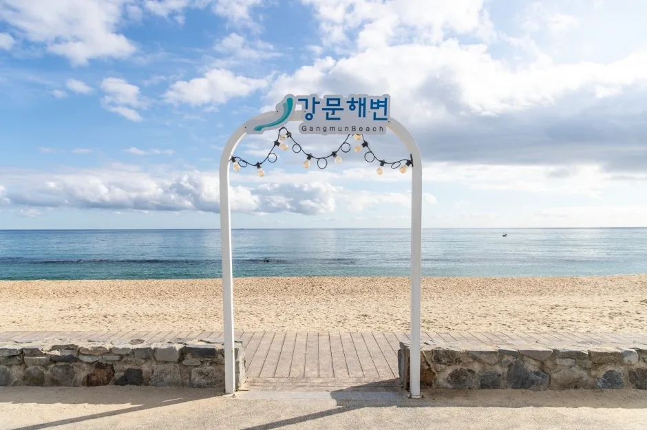 강문해변 (1)