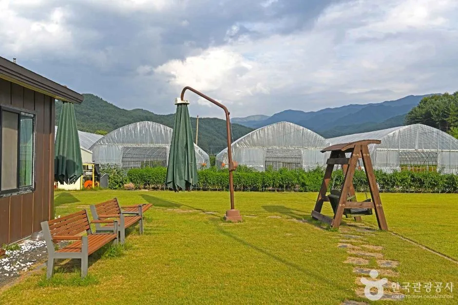 강원_홍천_홍천 삼생마을 (3)