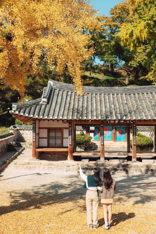 무성서원