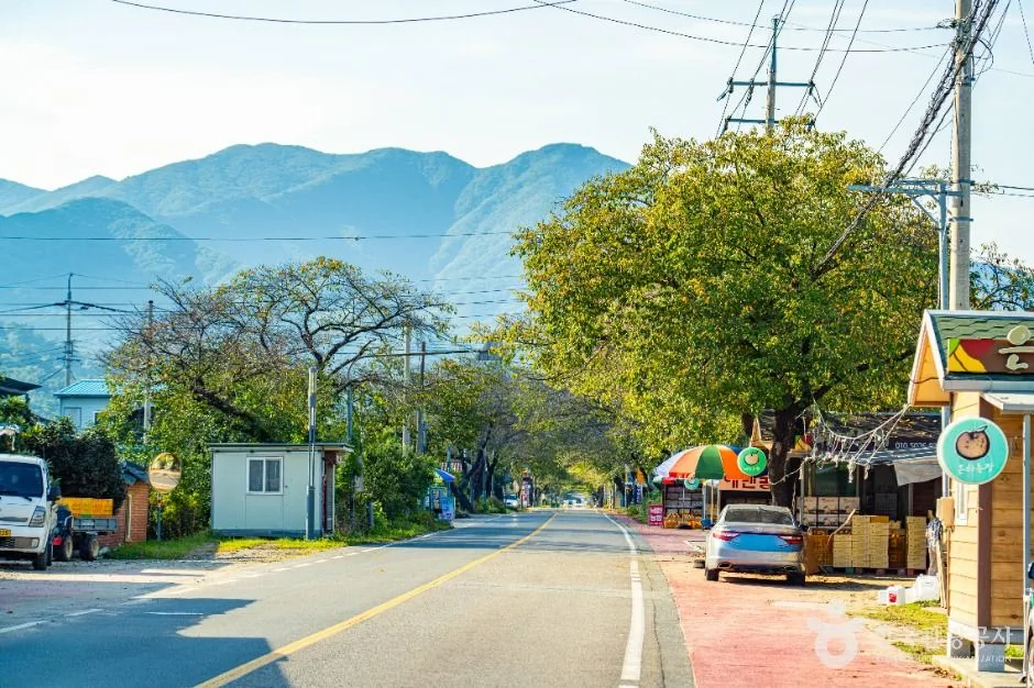 하동_하동명품배거리 (6)