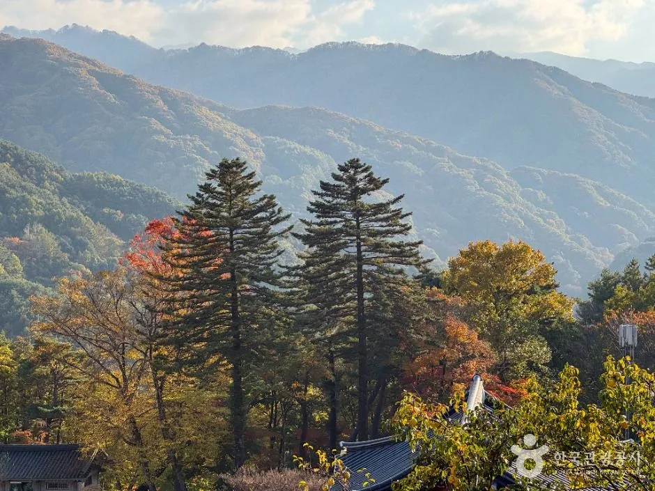 함양_벽송사(지리산) (4)