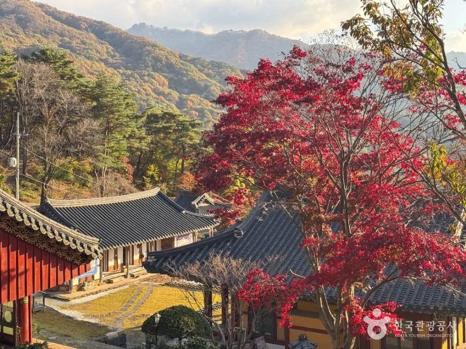 함양_벽송사(지리산) (5)