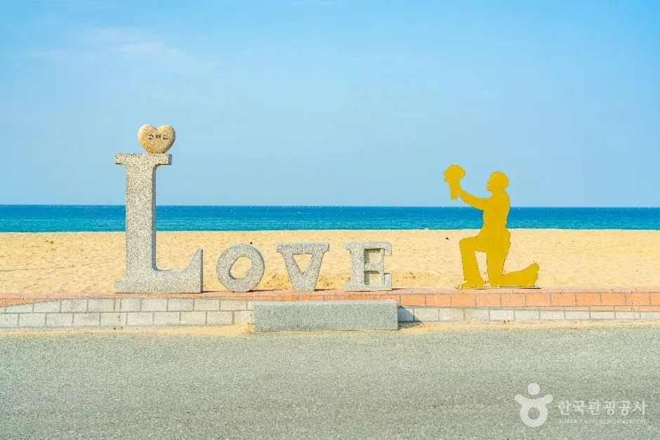 영덕_고래불해수욕장 (1)