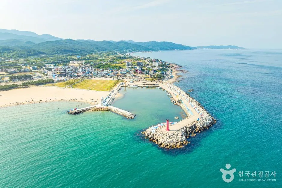 영덕_고래불해수욕장 (6)