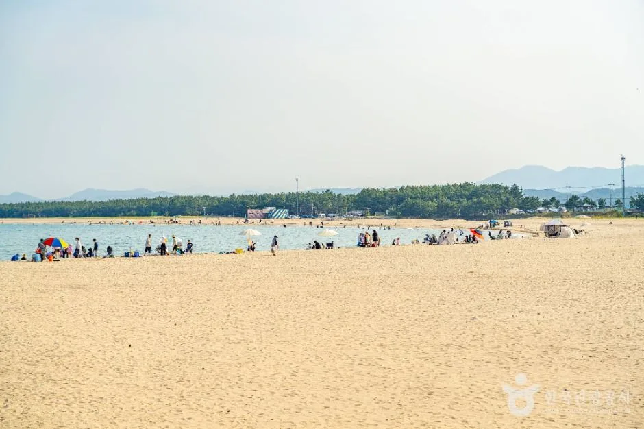 영덕_고래불해수욕장 (11)
