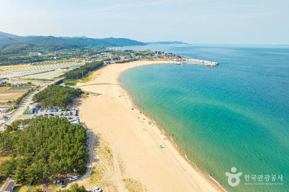 영덕_고래불해수욕장 (15)