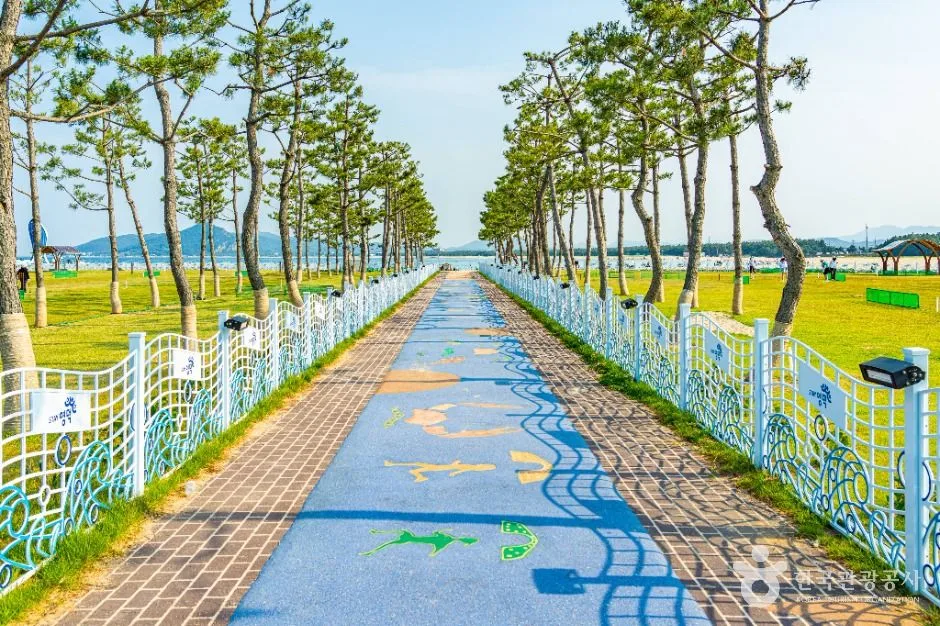 영덕_고래불해수욕장 (7)