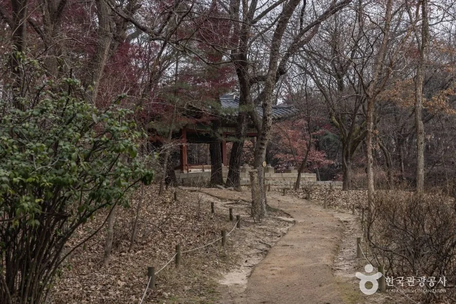 서울_자생식물학습장 (12)