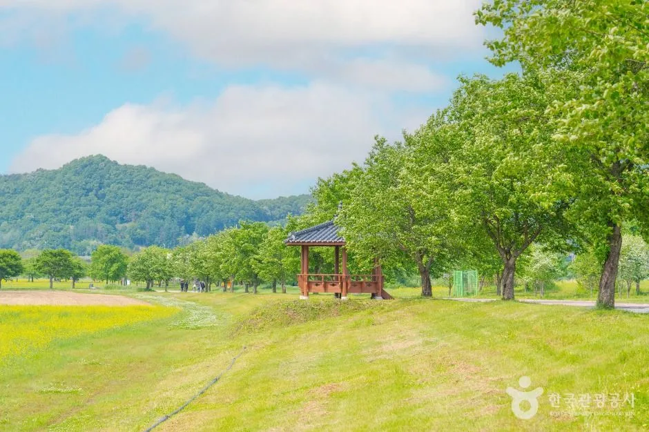 여주_당남리섬 (4)