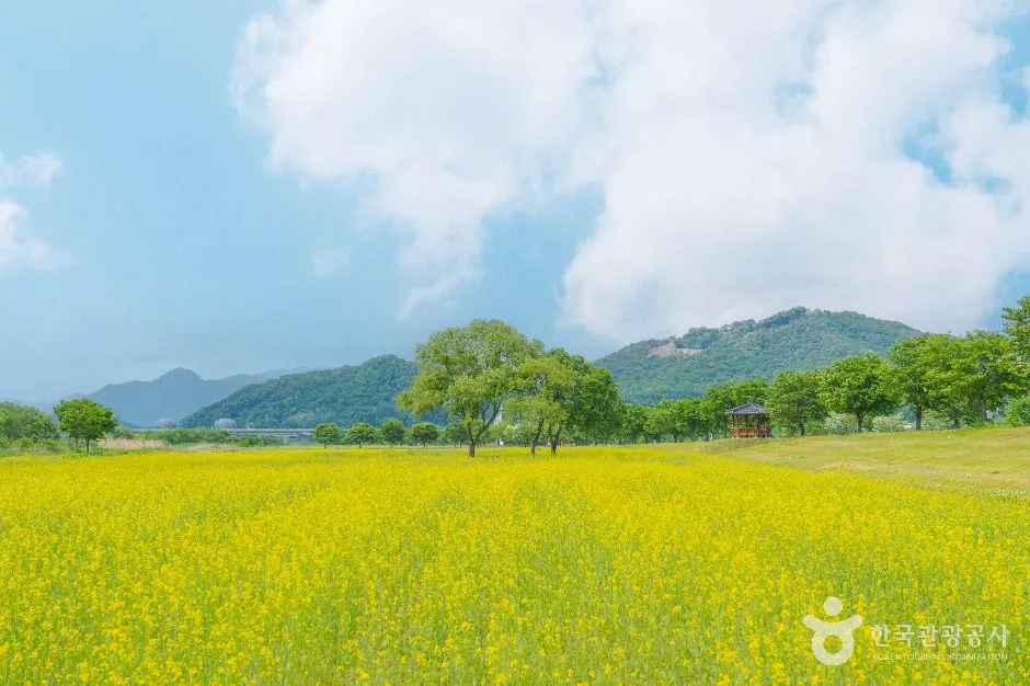 당남리섬 (대신섬)