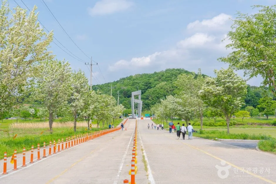 여주_당남리섬 (2)