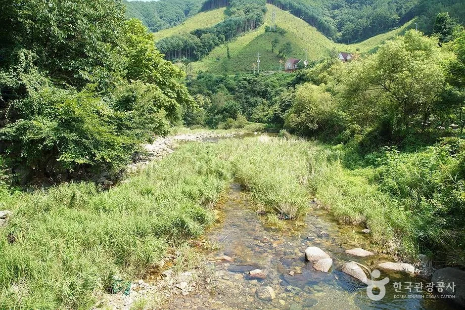 지암계곡 (26)