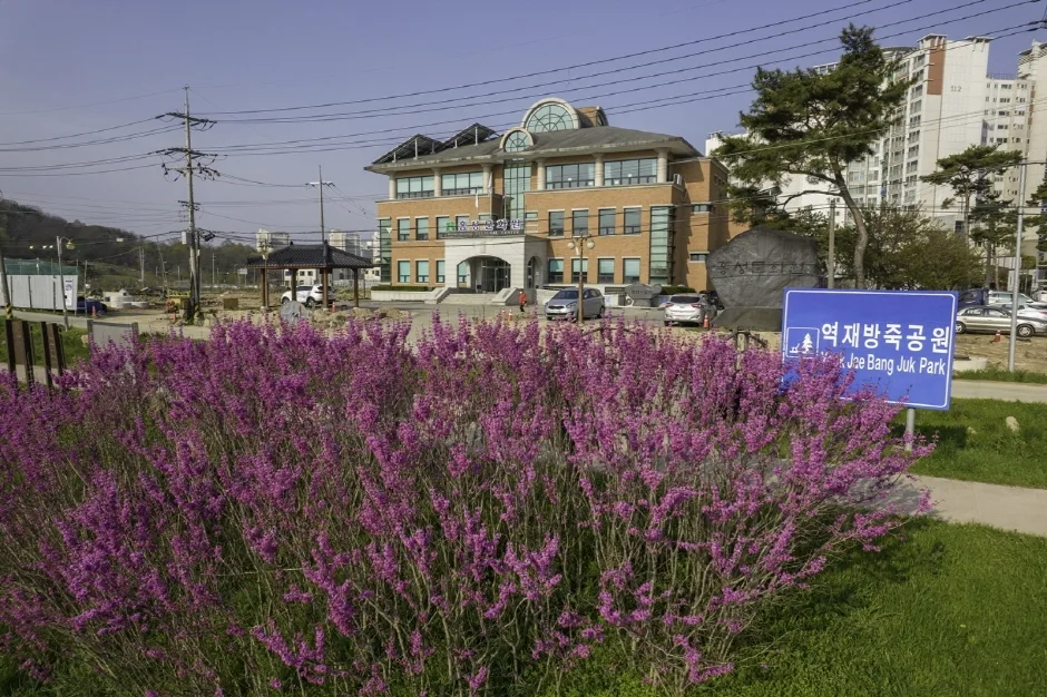 충남_홍성_역재방죽공원_수변 목재 다리_02.JPG