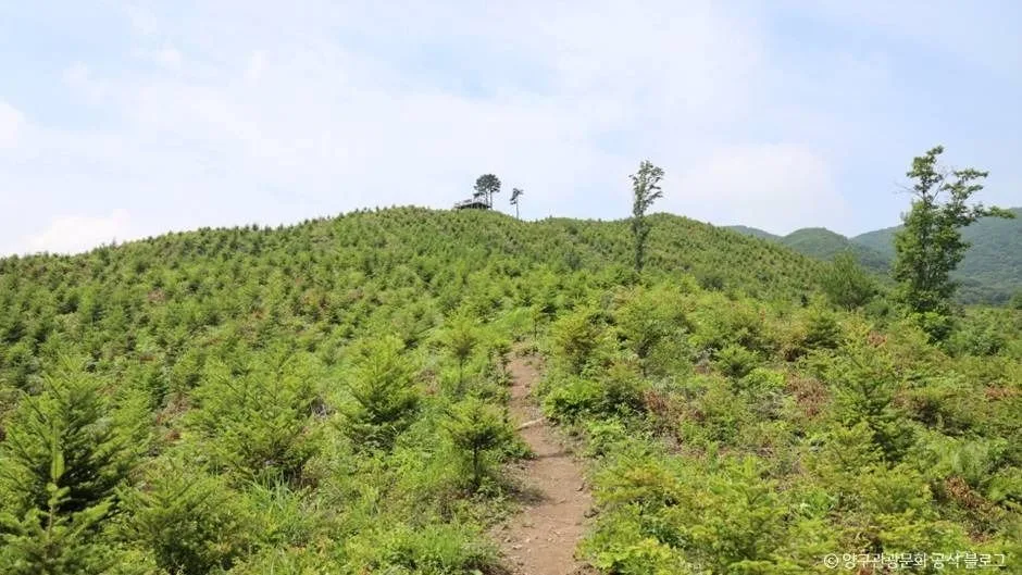 양구_양구 펀치볼마을 (펀치볼) (1)