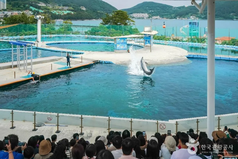 거제_거제씨월드 (2)