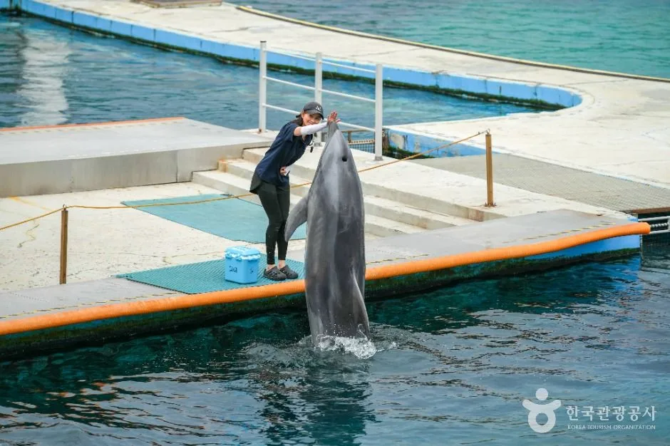 거제_거제씨월드 (3)