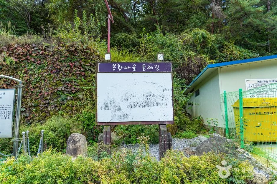 평창_봉황둘레길 (1)
