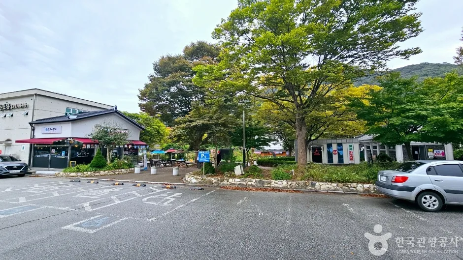선운사(고창)_7
