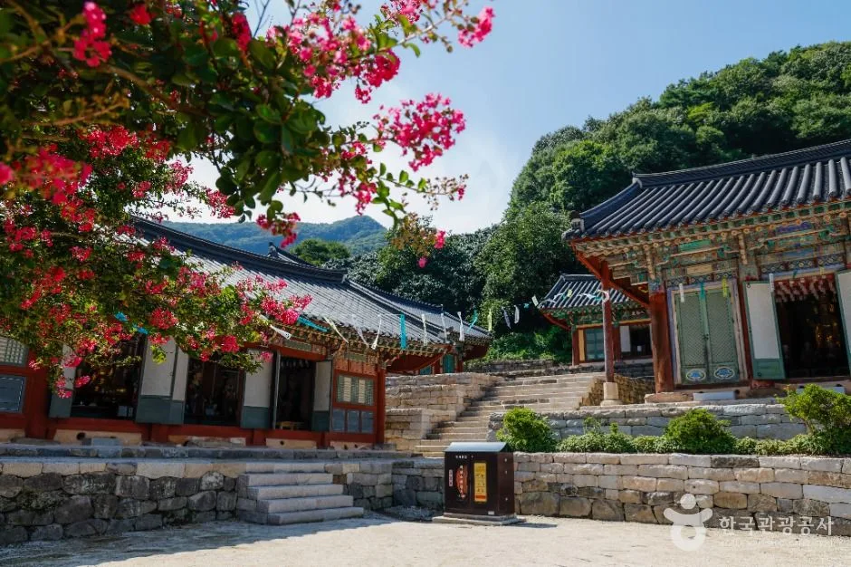 선운사(고창)_6