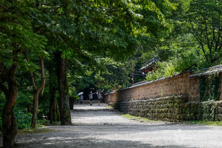 선운사(고창)_8