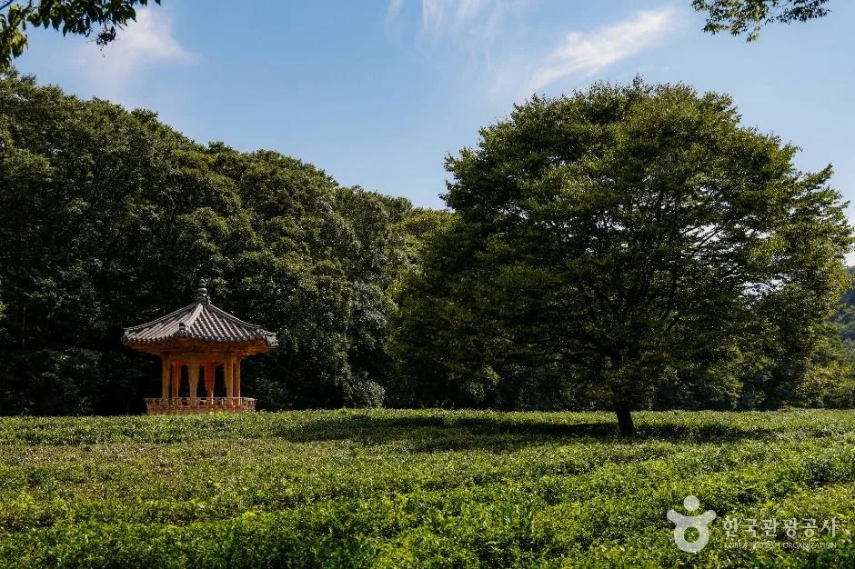 선운사(고창)_1