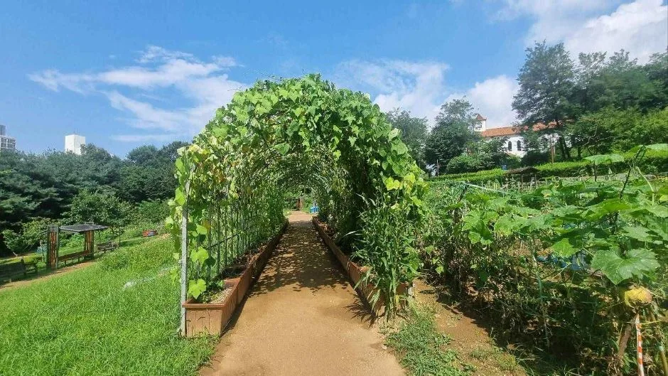 관악도시농업공원_장애인화장실 세면대 높이70cm 하부공간20cm