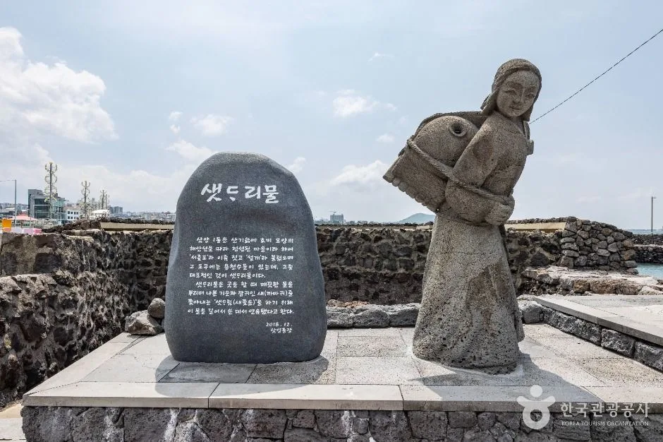 샛도리물
