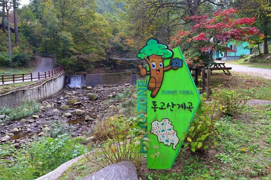 울진_국립통고산자연휴양림 (9)