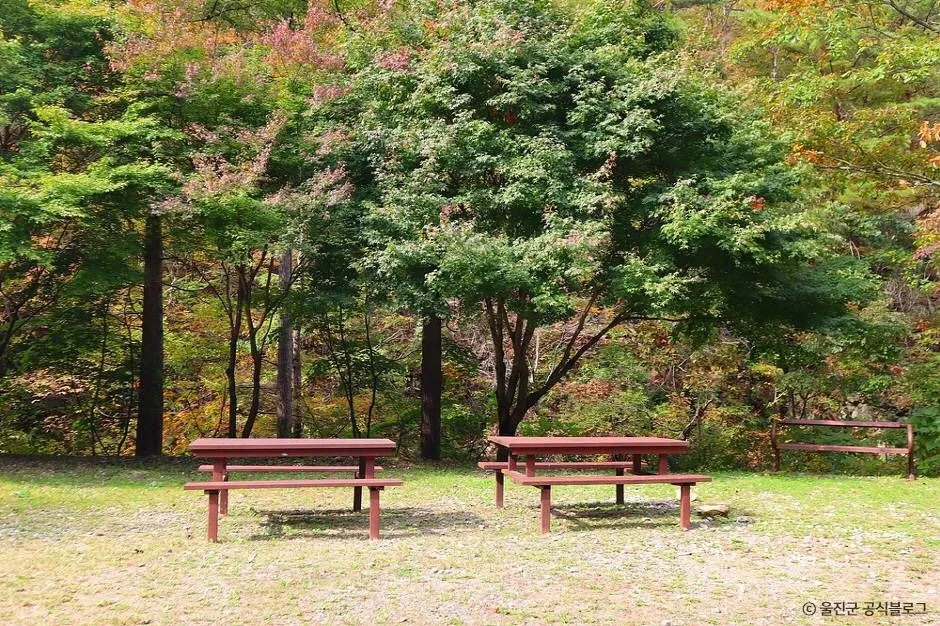 울진_국립통고산자연휴양림 (11)