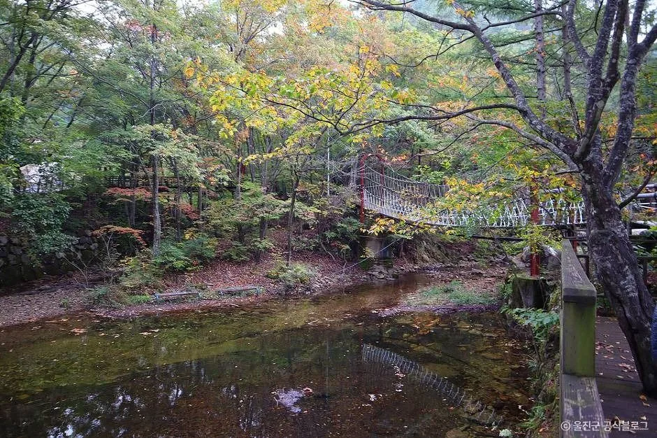 울진_국립통고산자연휴양림 (10)