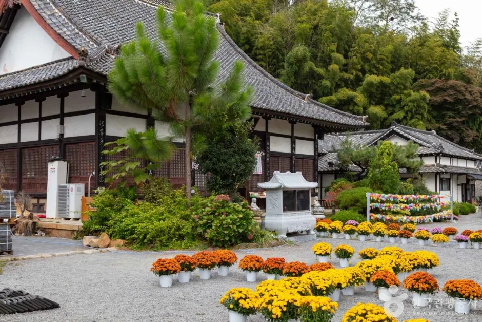 동국사(군산) (2)