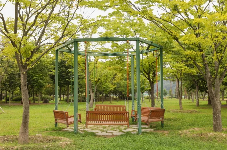 한반도섬 자연습지_5