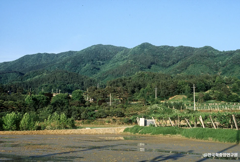 논산_서운산성 (2).jpg