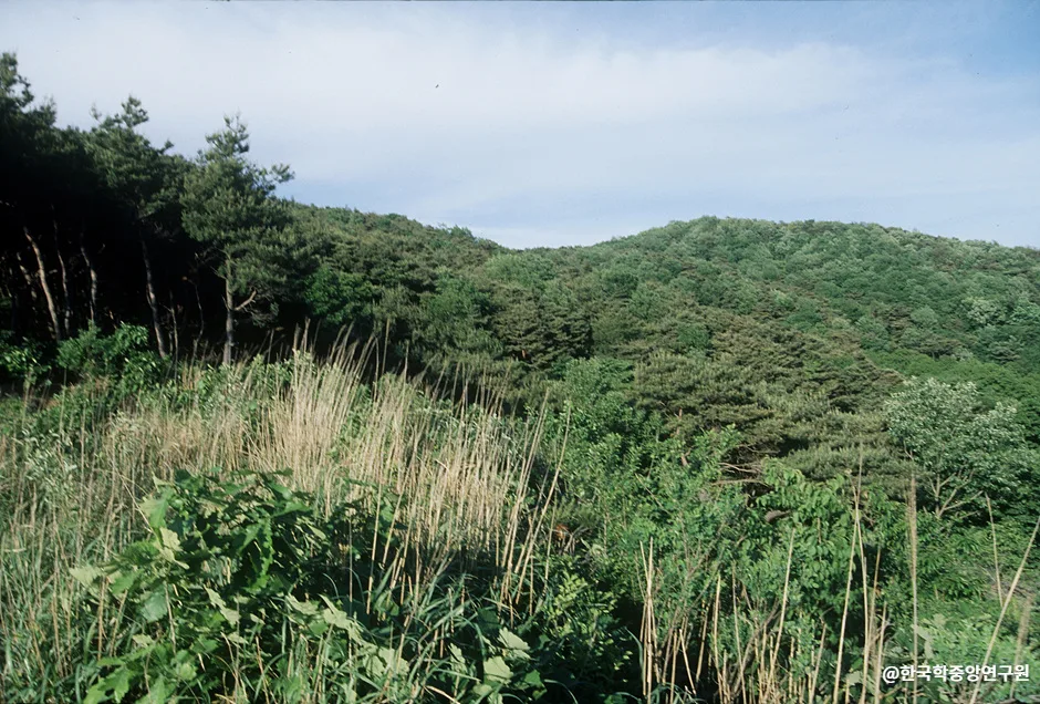 논산_서운산성 (1).jpg