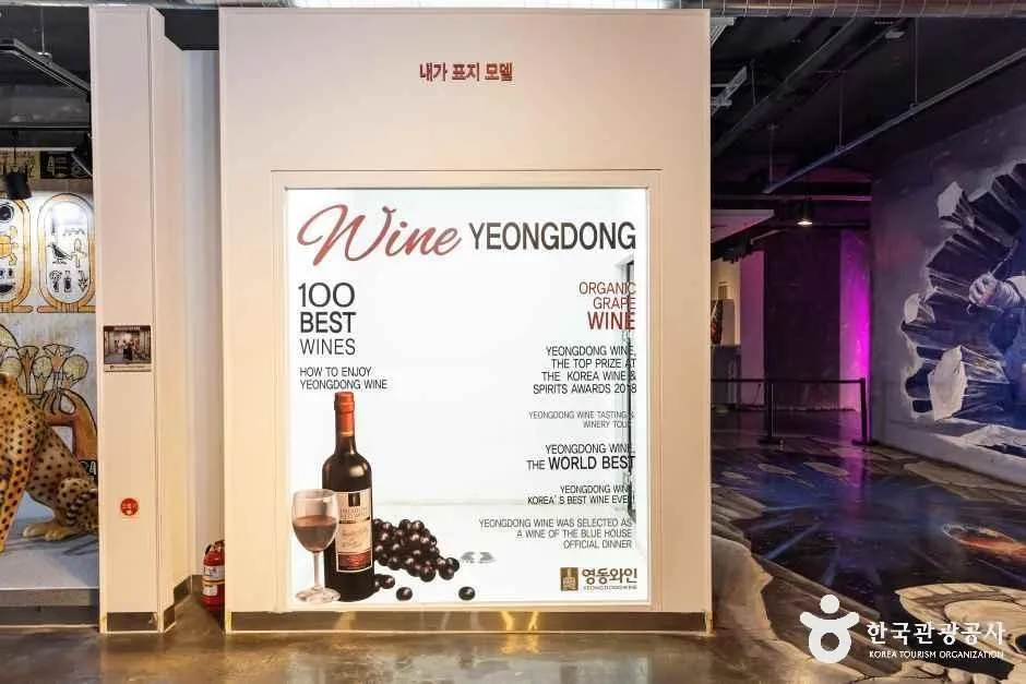 영동_영동 와인터널 (8).jpg