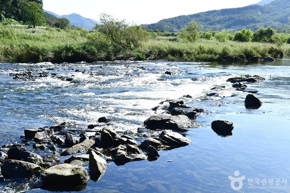 전남_곡성_보성강 (7)