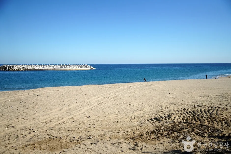하맹방해변 (9)
