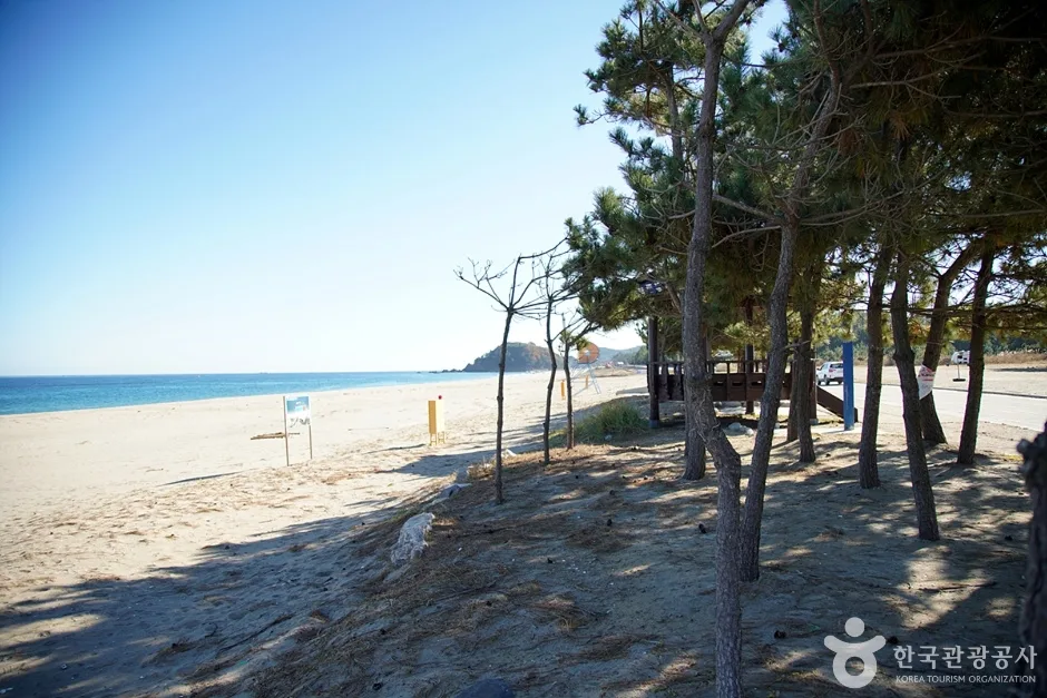 하맹방해변 (6)