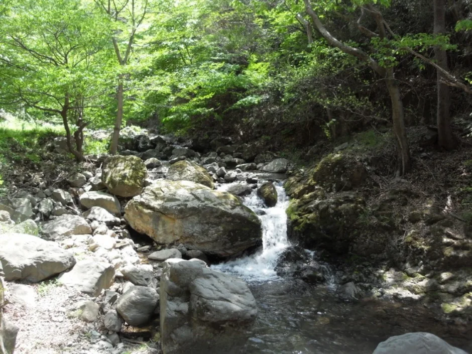 증심사계곡 안산암질용암_1_국가지질공원