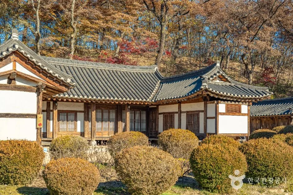 영동_영동 김참판댁 (3)